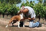 ADULTE ET CHIEN 327